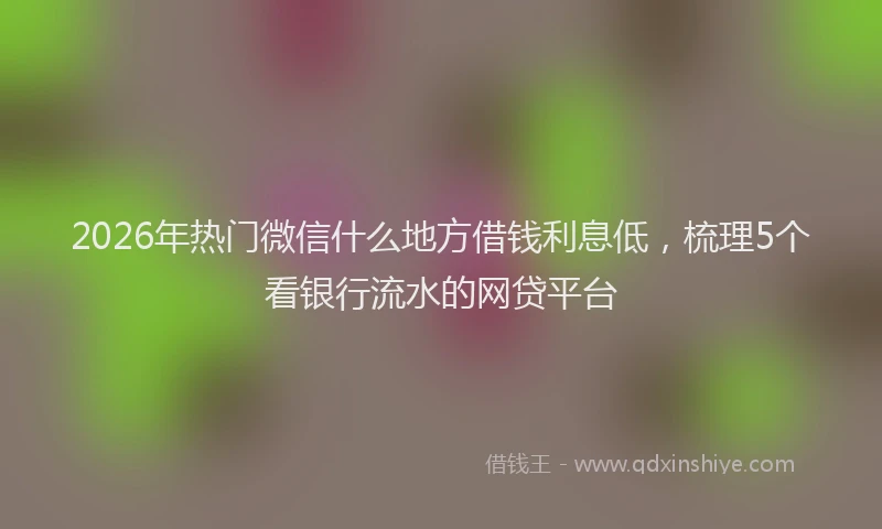 2026年热门微信什么地方借钱利息低，梳理5个看银行流水的网贷平台