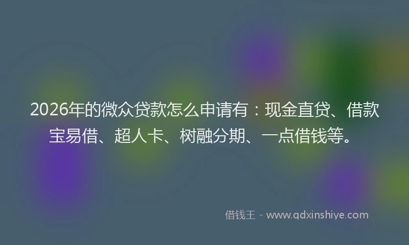 2026年的微众贷款怎么申请有:现金直贷、借款宝易借、超人卡、树融分期、一点借钱等。