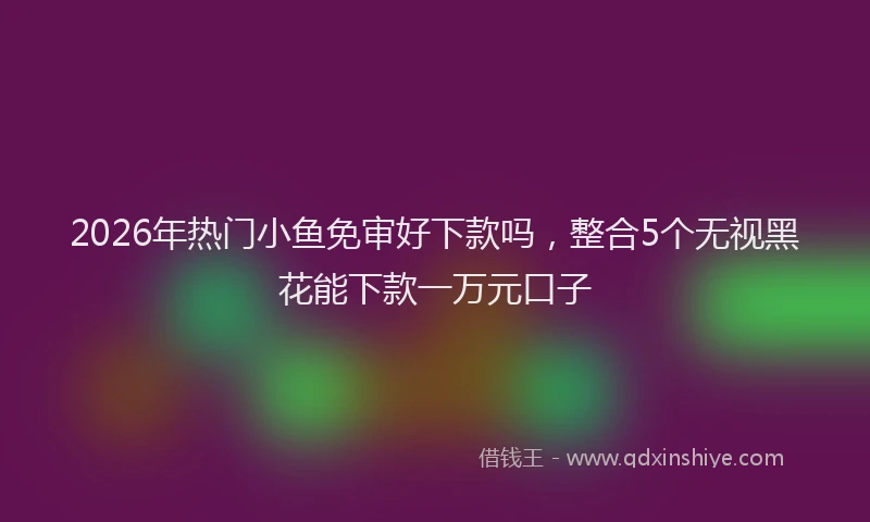 2026年热门小鱼免审好下款吗，整合5个无视黑花能下款一万元口子