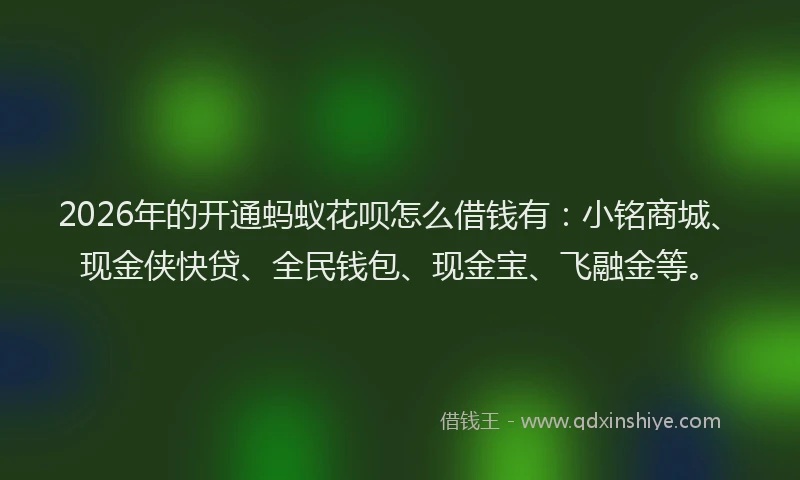 2026年的开通蚂蚁花呗怎么借钱有：小铭商城、现金侠快贷、全民钱包、现金宝、飞融金等。