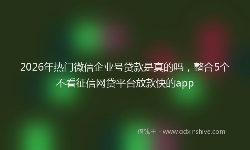 2026年热门微信企业号贷款是真的吗，整合5个不看征信网贷平台放款快的app