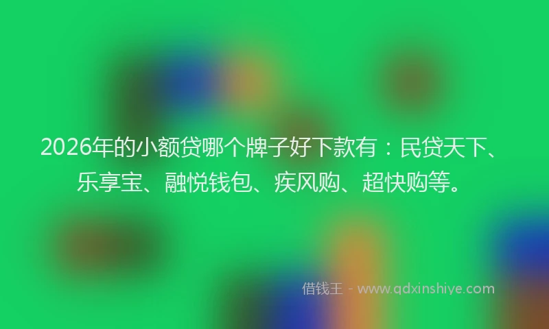 2026年的小额贷哪个牌子好下款有：民贷天下、乐享宝、融悦钱包、疾风购、超快购等。