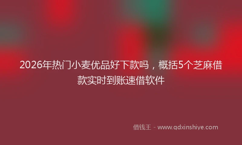2026年热门小麦优品好下款吗,概括5个芝麻借款实时到账速借软件