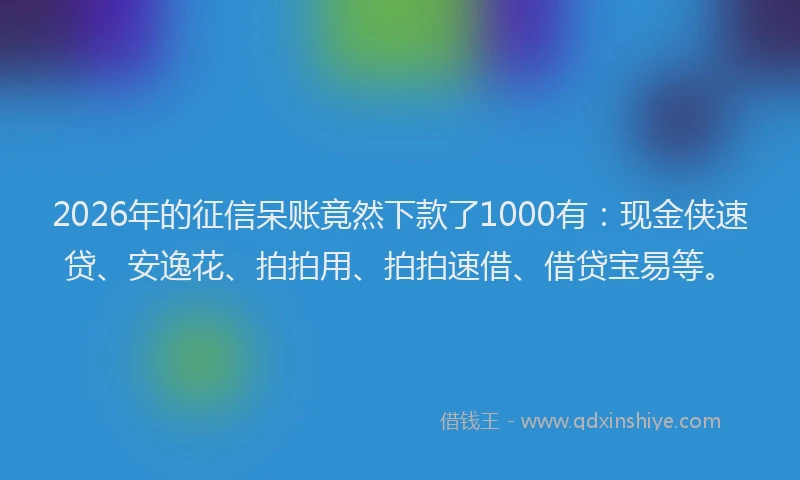 2026年的征信呆账竟然下款了1000有：现金侠速贷、安逸花、拍拍用、拍拍速借、借贷宝易等。