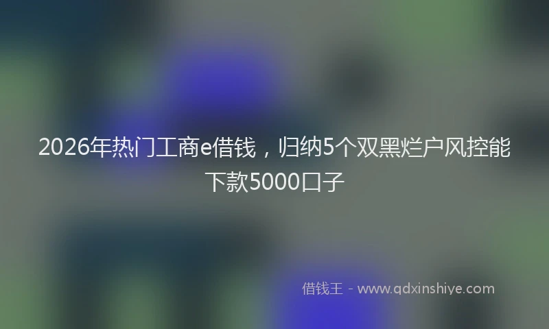 2026年热门工商e借钱，归纳5个双黑烂户风控能下款5000口子