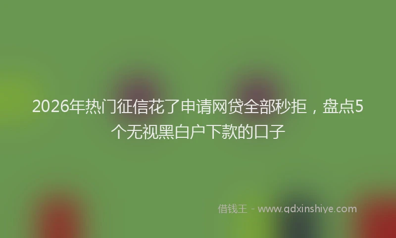 2026年热门征信花了申请网贷全部秒拒，盘点5个无视黑白户下款的口子