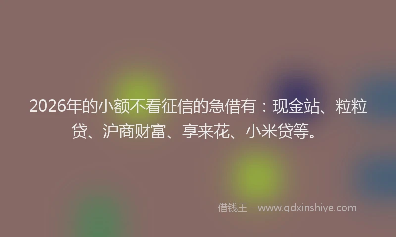 2026年的小额不看征信的急借有：现金站、粒粒贷、沪商财富、享来花、小米贷等。