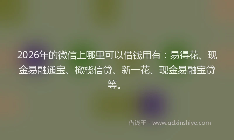 2026年的微信上哪里可以借钱用有：易得花、现金易融通宝、橄榄信贷、新一花、现金易融宝贷等。