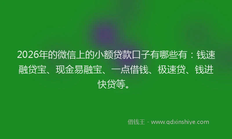 2026年的微信上的小额贷款口子有哪些有：钱速融贷宝、现金易融宝、一点借钱、极速贷、钱进快贷等。