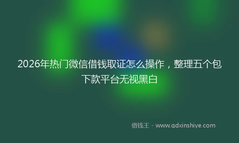 2026年热门微信借钱取证怎么操作，整理五个包下款平台无视黑白