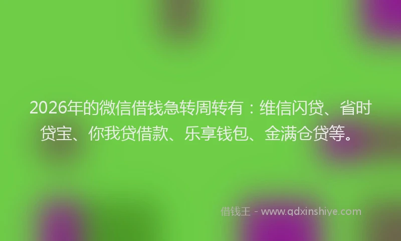 2026年的微信借钱急转周转有:维信闪贷、省时贷宝、你我贷借款、乐享钱包、金满仓贷等。
