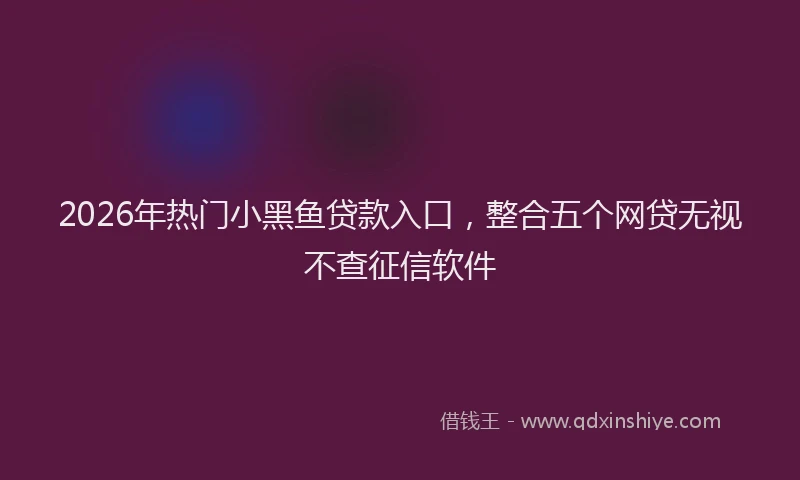 2026年热门小黑鱼贷款入口，整合五个网贷无视不查征信软件