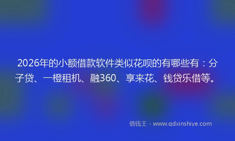 2026年的小额借款软件类似花呗的有哪些有：分子贷、一橙租机、融360、享来花、钱贷乐借等。