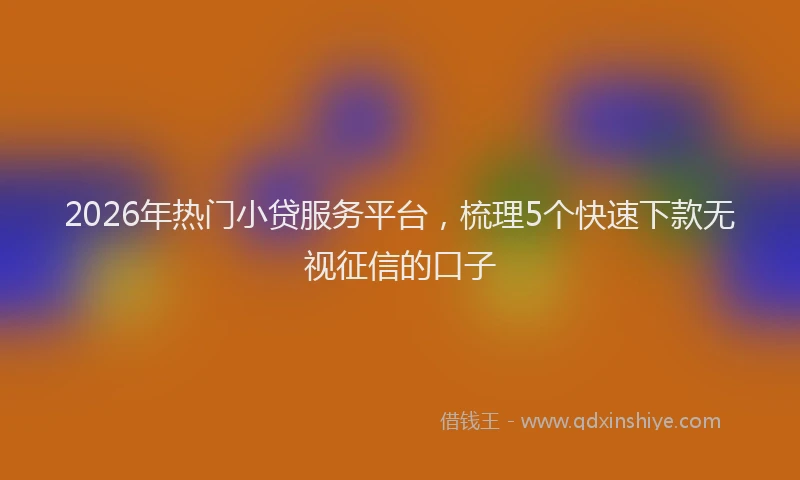 2026年热门小贷服务平台，梳理5个快速下款无视征信的口子