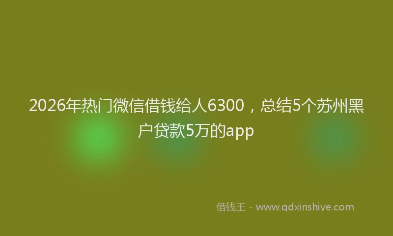 2026年热门微信借钱给人6300，总结5个苏州黑户贷款5万的app