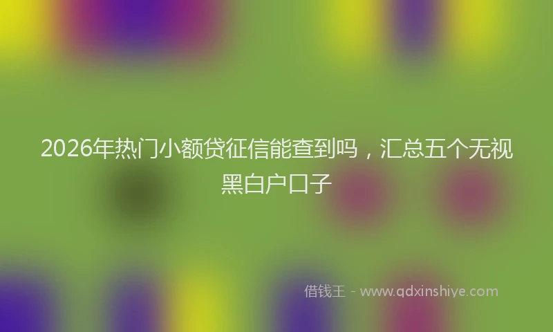 2026年热门小额贷征信能查到吗，汇总五个无视黑白户口子
