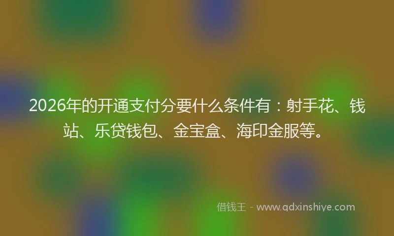2026年的开通支付分要什么条件有：射手花、钱站、乐贷钱包、金宝盒、海印金服等。