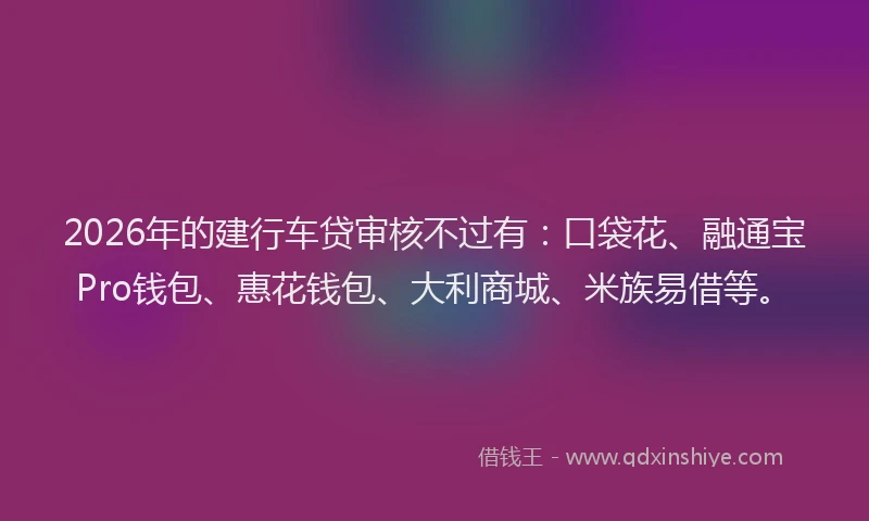 2026年的建行车贷审核不过有：口袋花、融通宝Pro钱包、惠花钱包、大利商城、米族易借等。