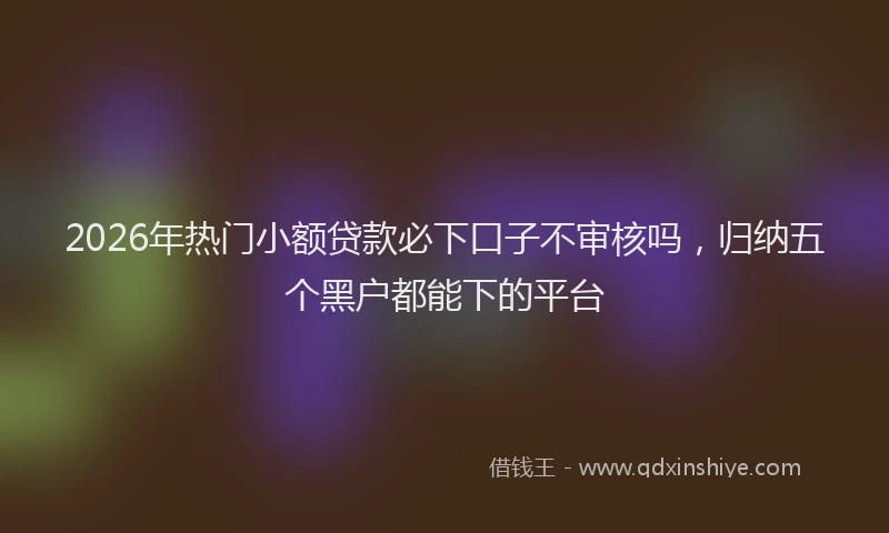 2026年热门小额贷款必下口子不审核吗，归纳五个黑户都能下的平台