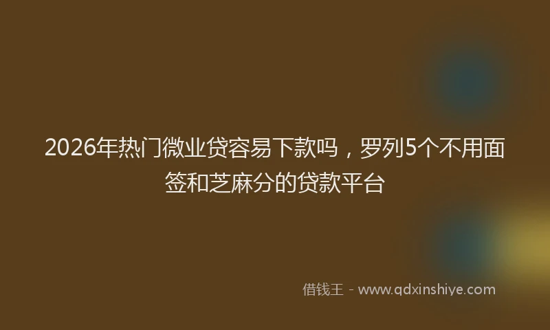 2026年热门微业贷容易下款吗，罗列5个不用面签和芝麻分的贷款平台