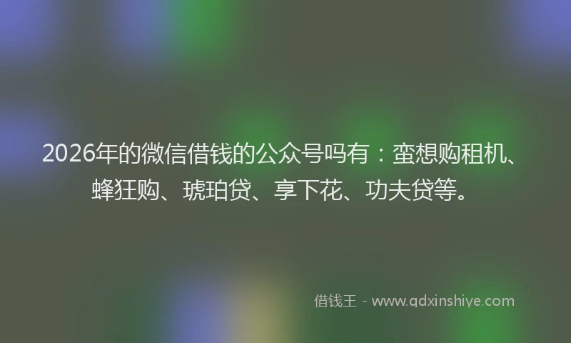 2026年的微信借钱的公众号吗有：蛮想购租机、蜂狂购、琥珀贷、享下花、功夫贷等。
