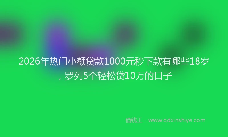 2026年热门小额贷款1000元秒下款有哪些18岁，罗列5个轻松贷10万的口子
