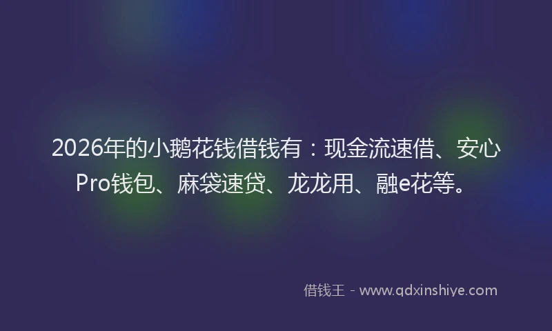 2026年的小鹅花钱借钱有：现金流速借、安心Pro钱包、麻袋速贷、龙龙用、融e花等。