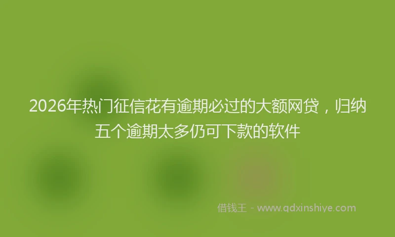 2026年热门征信花有逾期必过的大额网贷，归纳五个逾期太多仍可下款的软件