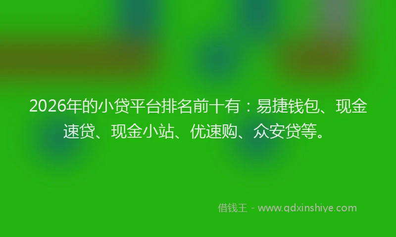 2026年的小贷平台排名前十有：易捷钱包、现金速贷、现金小站、优速购、众安贷等。