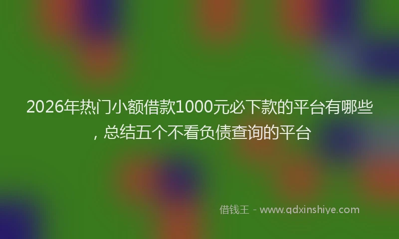 2026年热门小额借款1000元必下款的平台有哪些，总结五个不看负债查询的平台