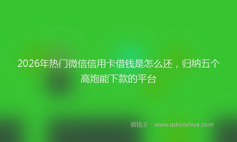 2026年热门微信信用卡借钱是怎么还，归纳五个高炮能下款的平台
