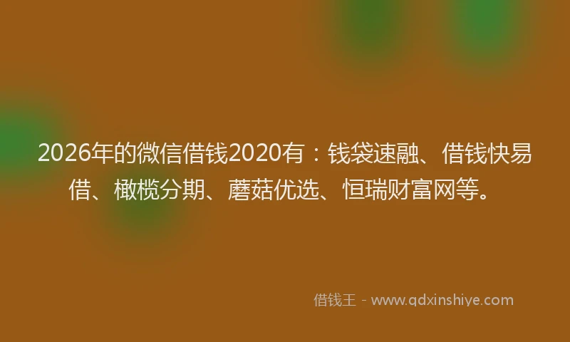 2026年的微信借钱2020有：钱袋速融、借钱快易借、橄榄分期、蘑菇优选、恒瑞财富网等。