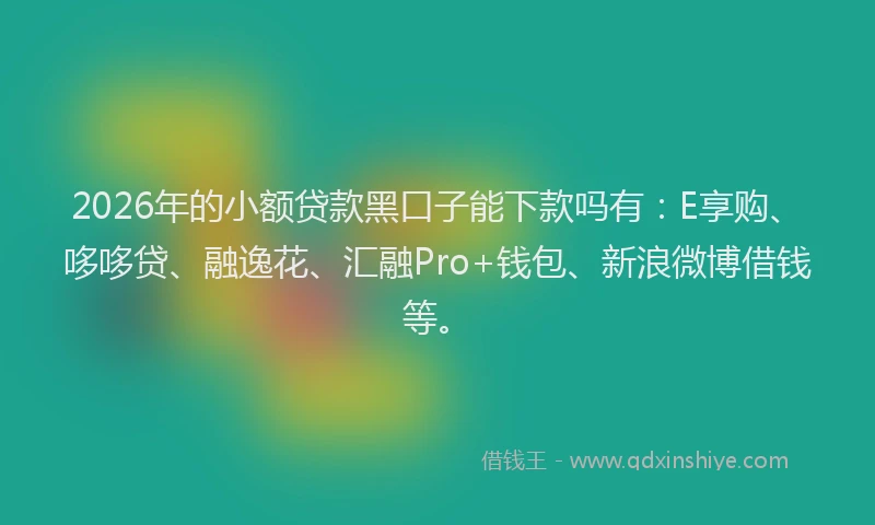 2026年的小额贷款黑口子能下款吗有:E享购、哆哆贷、融逸花、汇融Pro+钱包、新浪微博借钱等。