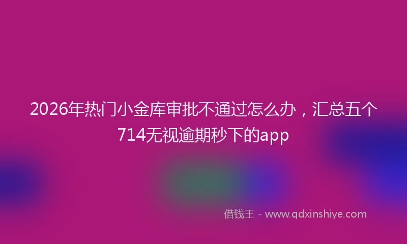 2026年热门小金库审批不通过怎么办，汇总五个714无视逾期秒下的app