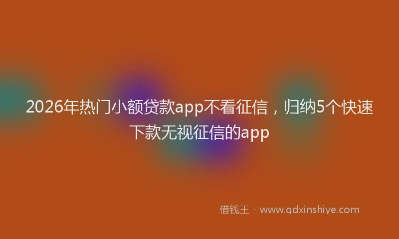2026年热门小额贷款app不看征信，归纳5个快速下款无视征信的app