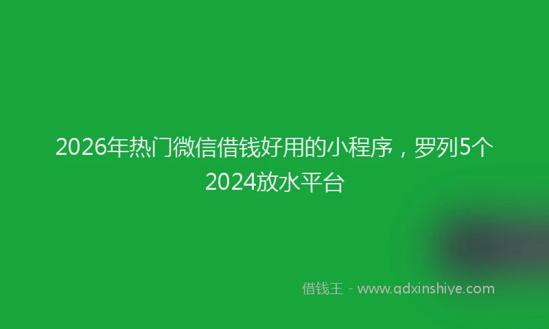 2026年热门微信借钱好用的小程序，罗列5个2024放水平台