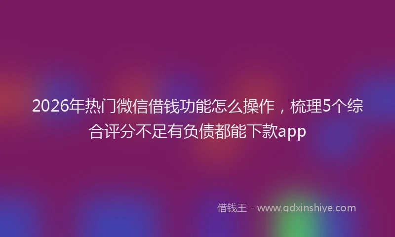 2026年热门微信借钱功能怎么操作，梳理5个综合评分不足有负债都能下款app