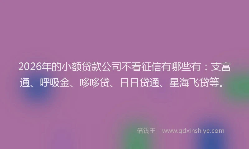 2026年的小额贷款公司不看征信有哪些有：支富通、呼吸金、哆哆贷、日日贷通、星海飞贷等。