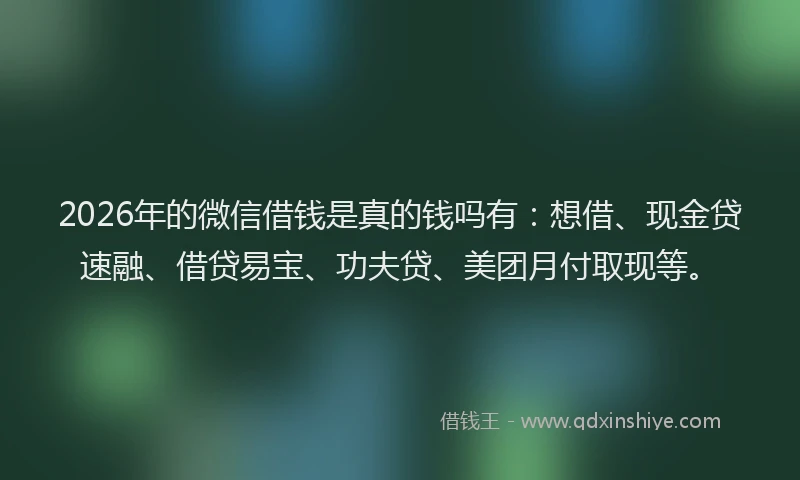 2026年的微信借钱是真的钱吗有：想借、现金贷速融、借贷易宝、功夫贷、美团月付取现等。