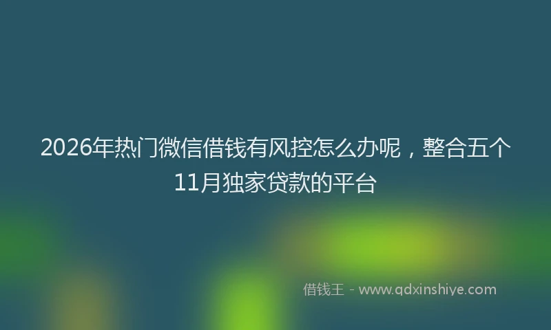 2026年热门微信借钱有风控怎么办呢，整合五个11月独家贷款的平台