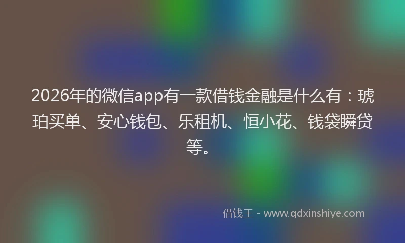 2026年的微信app有一款借钱金融是什么有：琥珀买单、安心钱包、乐租机、恒小花、钱袋瞬贷等。