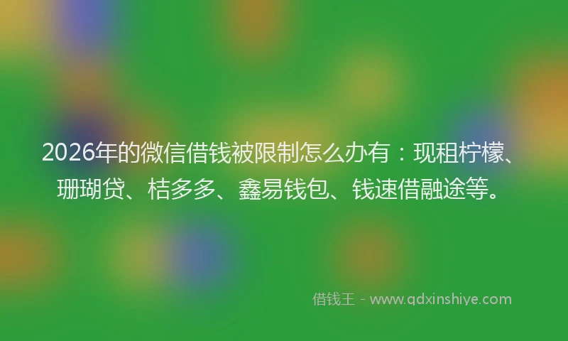 2026年的微信借钱被限制怎么办有：现租柠檬、珊瑚贷、桔多多、鑫易钱包、钱速借融途等。