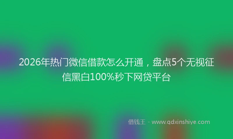 2026年热门微信借款怎么开通，盘点5个无视征信黑白100%秒下网贷平台