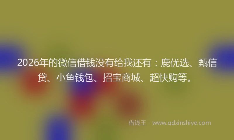 2026年的微信借钱没有给我还有：鹿优选、甄信贷、小鱼钱包、招宝商城、超快购等。