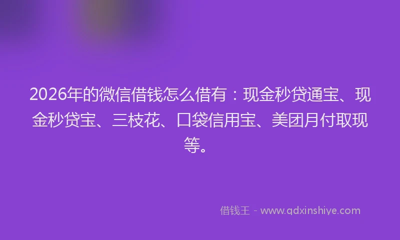 2026年的微信借钱怎么借有：现金秒贷通宝、现金秒贷宝、三枝花、口袋信用宝、美团月付取现等。