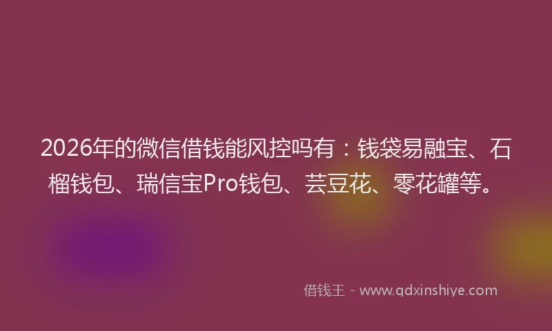 2026年的微信借钱能风控吗有：钱袋易融宝、石榴钱包、瑞信宝Pro钱包、芸豆花、零花罐等。