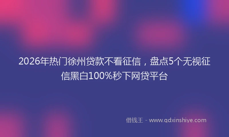 2026年热门徐州贷款不看征信，盘点5个无视征信黑白100%秒下网贷平台