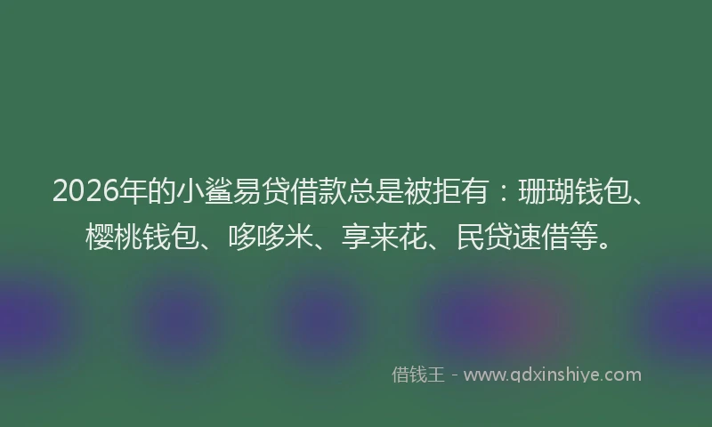 2026年的小鲨易贷借款总是被拒有:珊瑚钱包、樱桃钱包、哆哆米、享来花、民贷速借等。