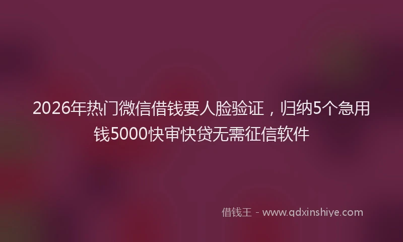 2026年热门微信借钱要人脸验证，归纳5个急用钱5000快审快贷无需征信软件