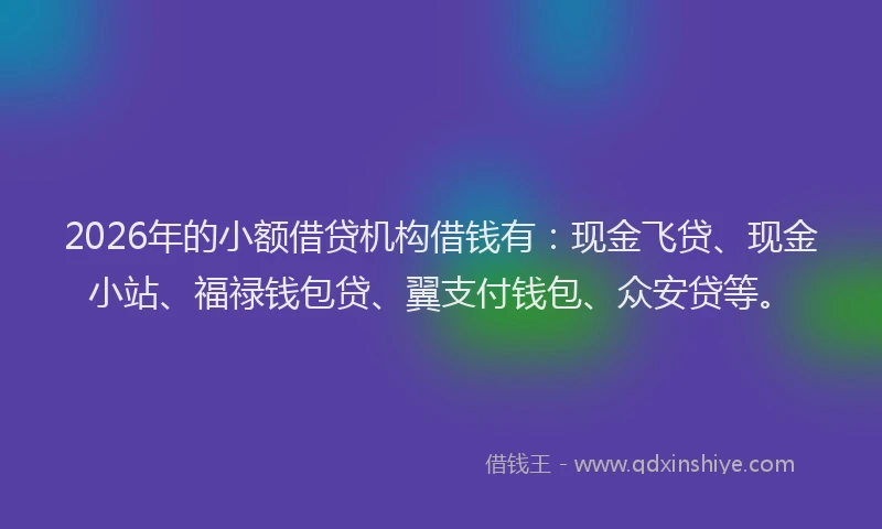2026年的小额借贷机构借钱有：现金飞贷、现金小站、福禄钱包贷、翼支付钱包、众安贷等。